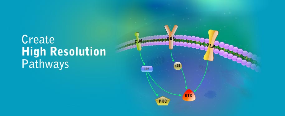 Create high resolution pathways