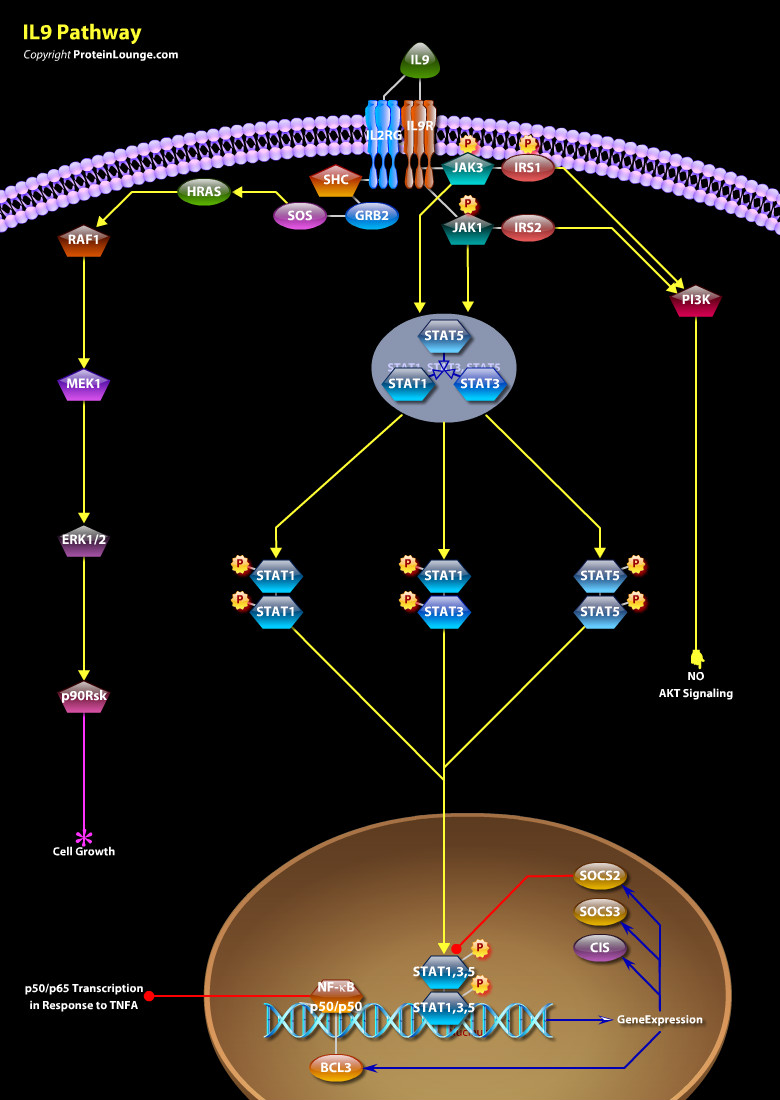Design Pathways and Biological Graphics - ePath3D Online Design Pathways and Biological Graphics - ePath3D Online